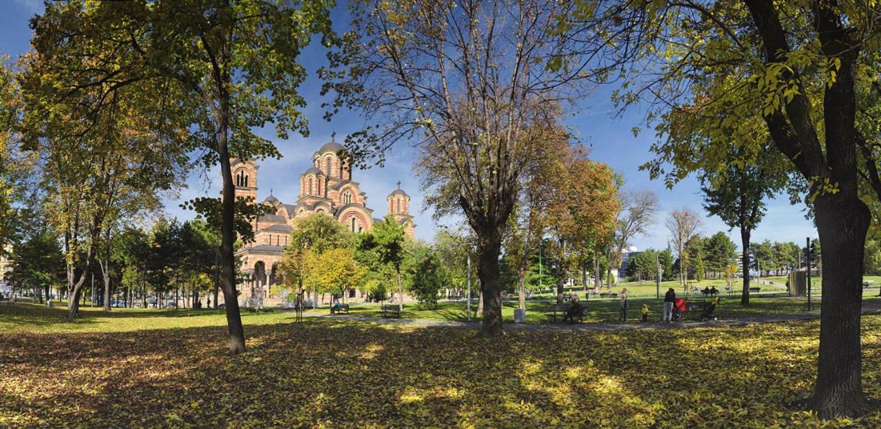 Little Oasis Tash * Belgrade